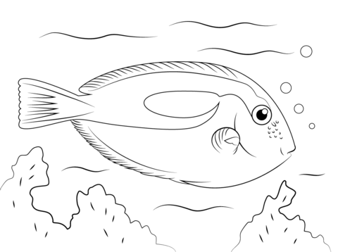 Blue Tang Coloring Page